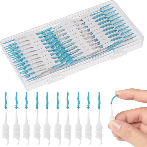 250 pieces dental floss picks - 250,