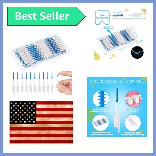 250 dental floss picks - 250,