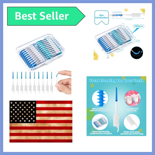 250 pcs dental floss picks - 250,